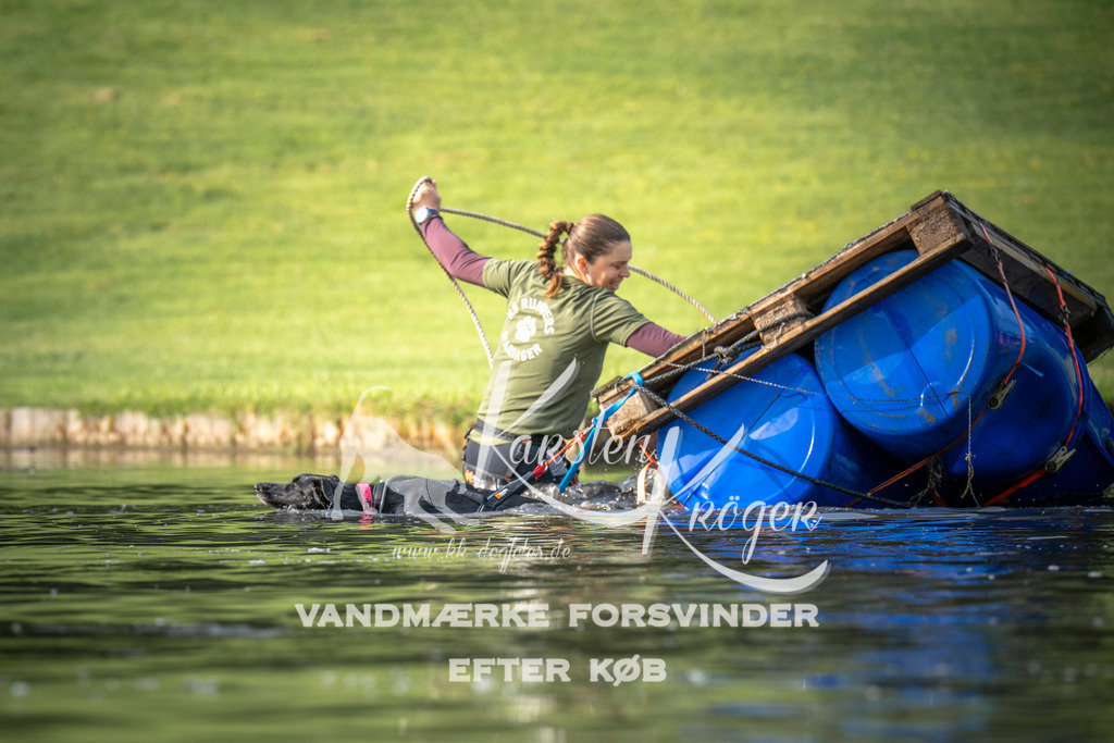 _ZZ934920705 | kk-dogfotos