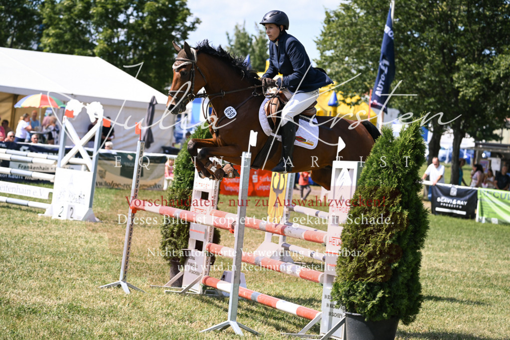 DSC_0432 | Pferde- und Turnierfotografie in Westsachsen. Pferdeportraits, Auftragszeichnungen und intuitive Kunst.