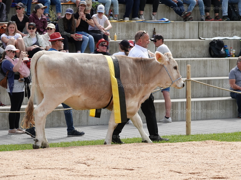 DSC07412 | Schwingen - Realisiert mit Pictrs.com