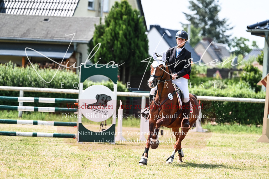 DSC_9449 | Pferde- und Turnierfotografie in Westsachsen. Pferdeportraits, Auftragszeichnungen und intuitive Kunst.
