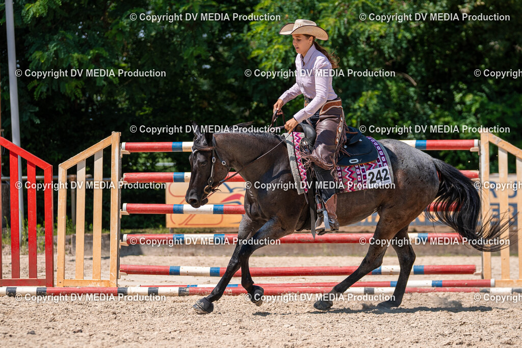 Zeiskam Tag 1-868 | dv-media-shop - Realisiert mit Pictrs.com