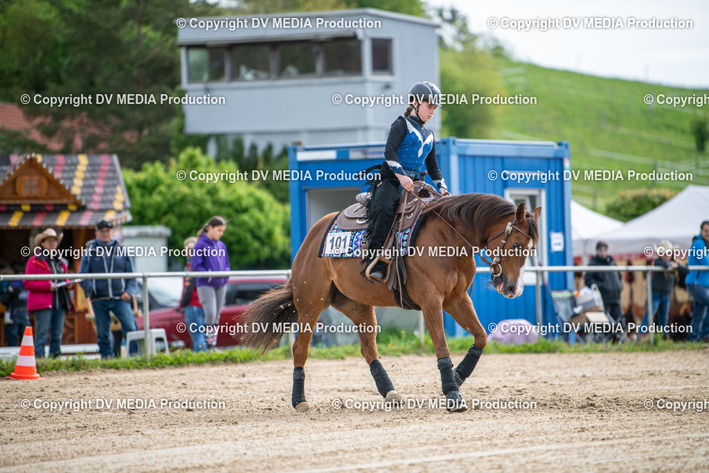 Heiligenwald Tag 3-518 | dv-media-shop - Realisiert mit Pictrs.com