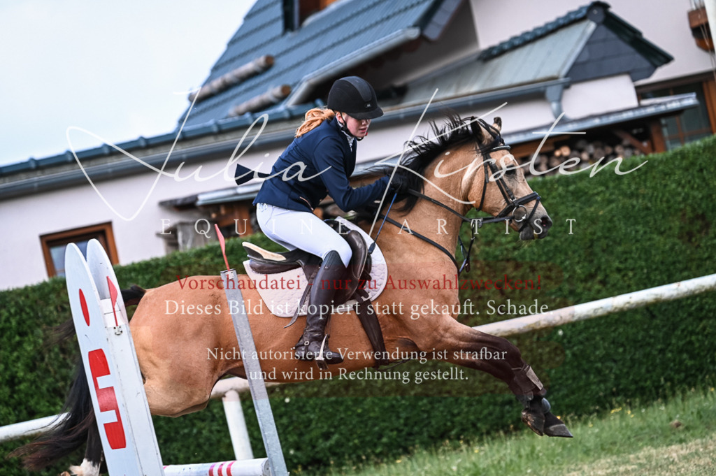 DSC_8046 | Pferde- und Turnierfotografie in Westsachsen. Pferdeportraits, Auftragszeichnungen und intuitive Kunst.
