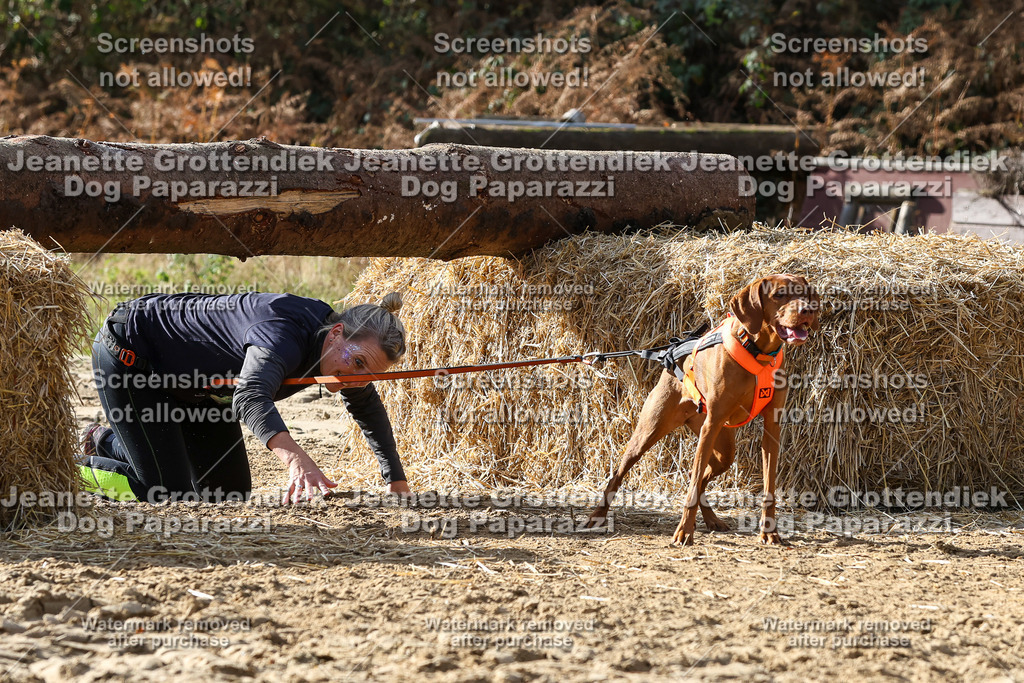 Dog Paparazzi - Strongdog 10-25-5847 | Dog Paparazzi Jeanette Grottendiek Fotografie & Videografie - Realisiert mit Pictrs.com