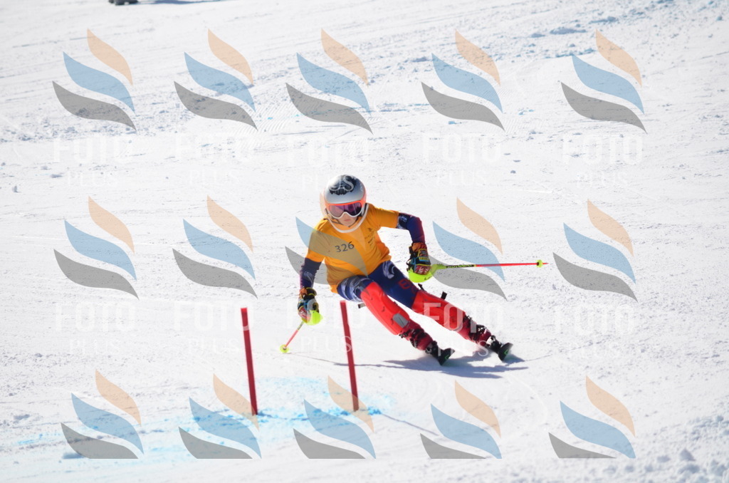 C9640 | holidayphoto