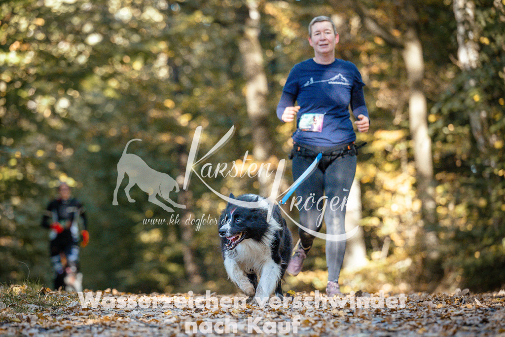 1101_ZZ91392 | kk-dogfotos