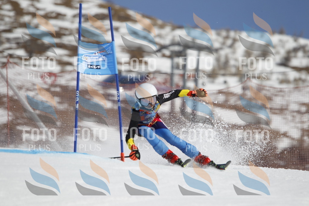 _U3G0307 | holidayphoto