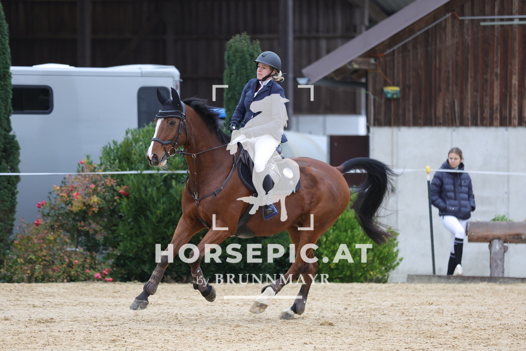 0P6A1609 | Willkommen bei Brunnmayr - Design & Fotografie – Ihrem Spezialisten für Reitturniere und Pferdeveranstaltungen in Oberösterreich, Salzburg und Bayern! Seit über 17 Jahren sind wir leidenschaftlich dabei.