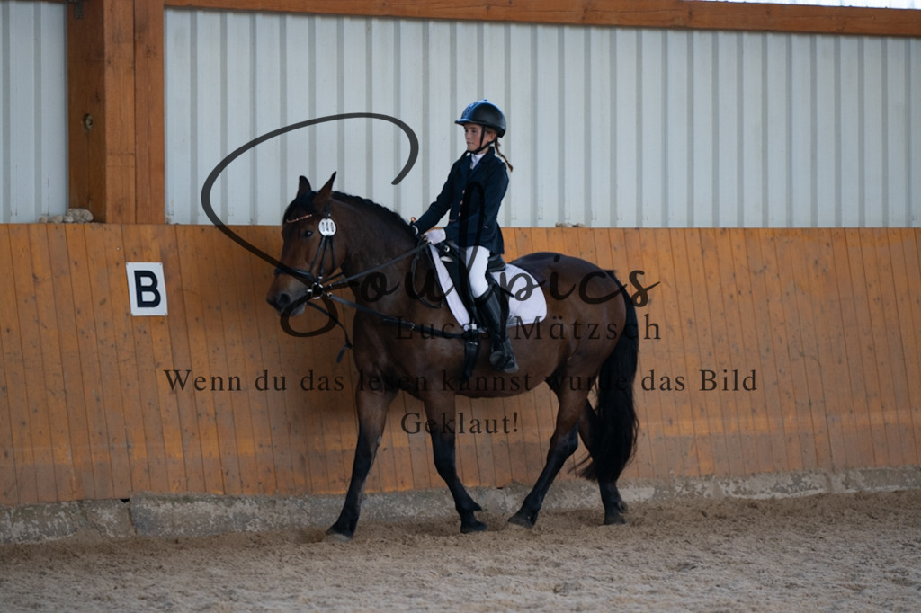 A7V02135 | Turnier/Reitfotograf