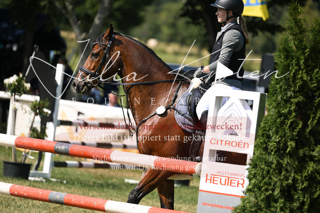 DSC_0508 | Pferde- und Turnierfotografie in Westsachsen. Pferdeportraits, Auftragszeichnungen und intuitive Kunst.