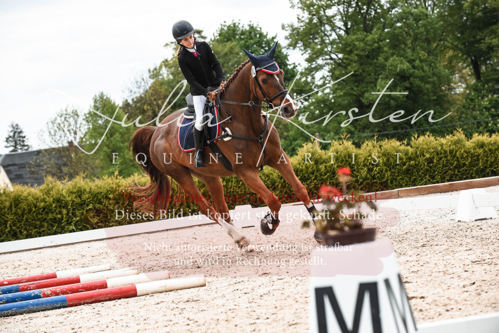 20230518_JK-Röhrsdorf-10-456 | Pferde- und Turnierfotografie in Westsachsen. Pferdeportraits, Auftragszeichnungen und intuitive Kunst.