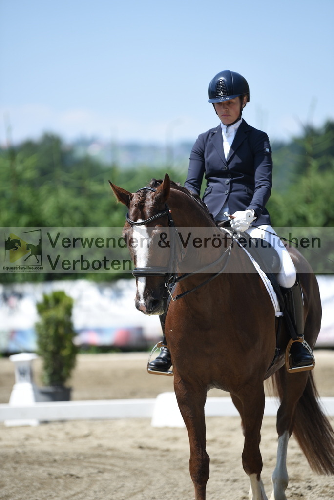 DSC_0772 | equestrian-live-com