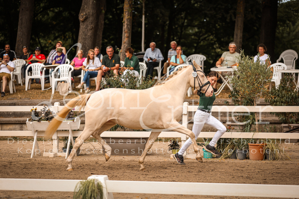 07.So00081 | Leoni Ertmer Photography - Realisiert mit Pictrs.com