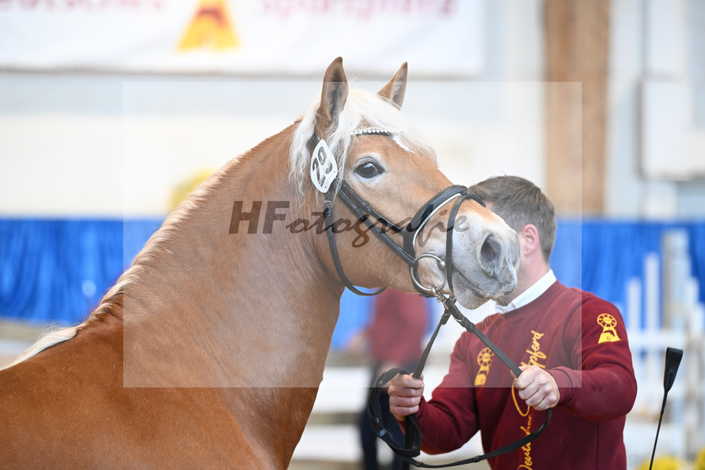 Kat-Nr. 29 nn v. Nio_Carreno-Erdmann_48250637 | hf-fotografie - Realisiert mit Pictrs.com