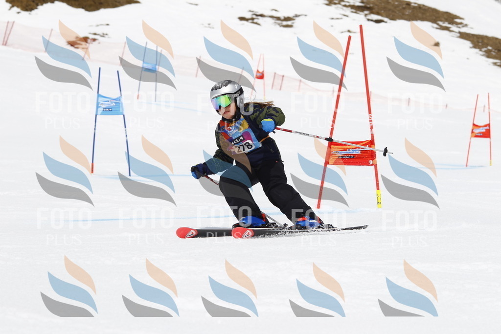 _U3G6979 | holidayphoto