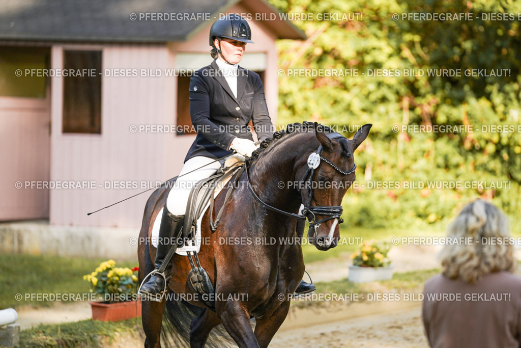 DSC05264 | Pferdegrafie