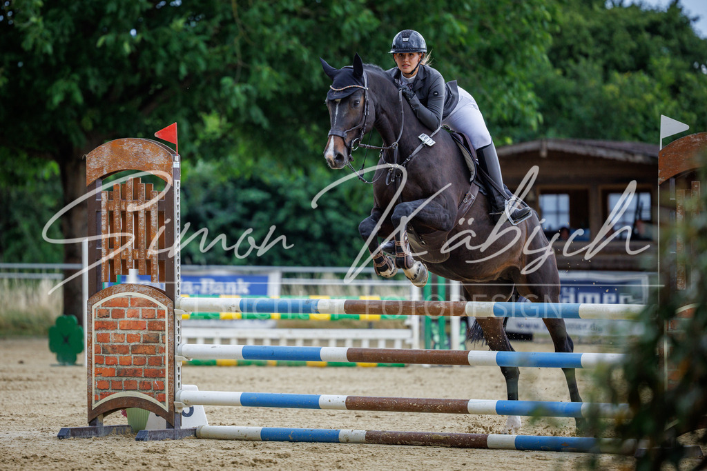 20260705-_3LI5041 | Tierfotografie Pferde, Hunde, Katzen, Haustiere.
Turnierfotografie Reitturniere, Reiten, Springreiten, Dressur in Hanau, dem Main-Kinzig-Kreis und dem Rhein-Main- Gebiet um Frankfurt