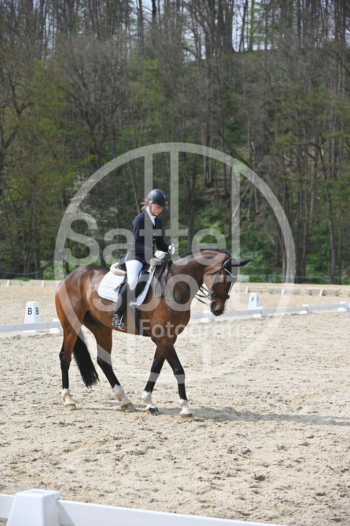 DSC_4184 | sattelsport - Realisiert mit Pictrs.com