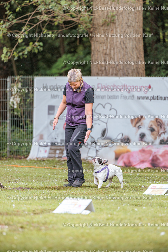 RO-Blumenthal-2026-Nickbest-Hundefotografie-0025 | Dein Hund! Dein Moment! Deine Erinnerungen! Hundefotografie in Bremen Blumenthal. Ich fange die besonderen Momente deines Vierbeiners ein – ob Indoor mit Blitzanlage oder in der freien Natur. Sicher dir dein Moment und dein Termin für eure Erinnerungen.