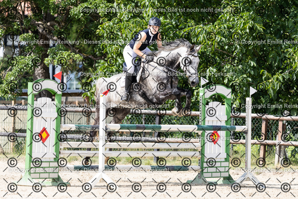 CL5A8621 | Emilia Reinking Fotografie - Realisiert mit Pictrs.com