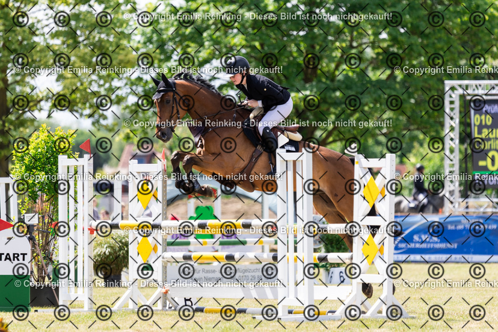 CL5A6175 | Emilia Reinking Fotografie - Realisiert mit Pictrs.com