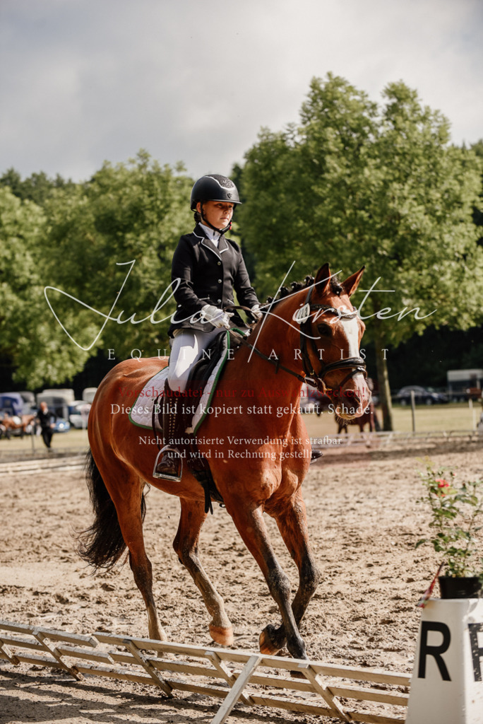 DSC_9184 | Pferde- und Turnierfotografie in Westsachsen. Pferdeportraits, Auftragszeichnungen und intuitive Kunst.
