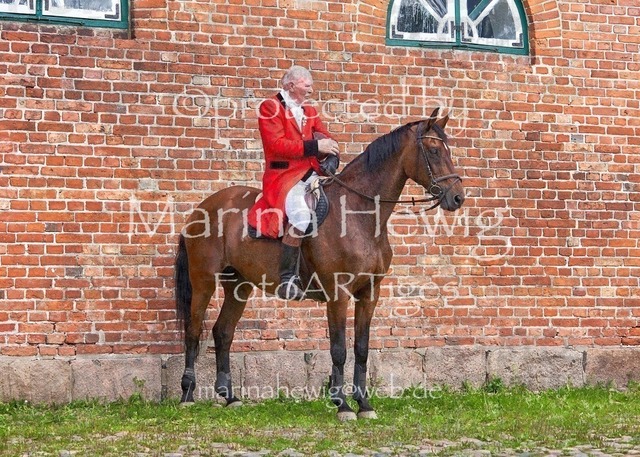 _MCH8533_Marina Hewig | Fotografie, FotoArt, PferdesportArt, Pferdesportfotografie, Landschaftsfotografie, Reisefotografie, Reise, Pferde - Realisiert mit Pictrs.com