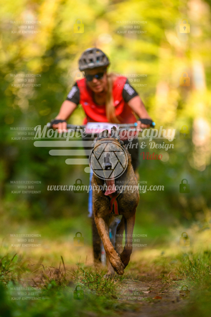 MompixPhotography_Yens2025_B1-40 | PayLife