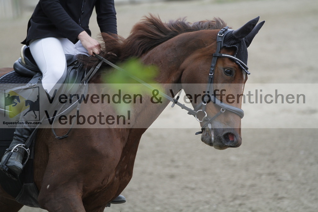 _MG_0898 | equestrian-live-com