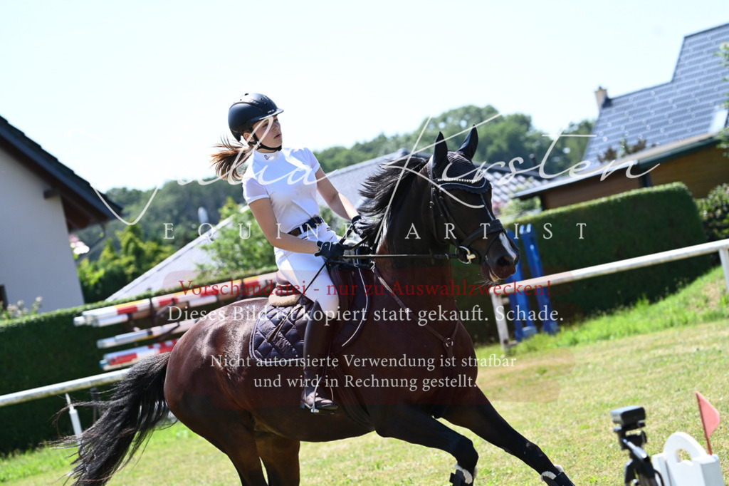 DSC_0738 | Pferde- und Turnierfotografie in Westsachsen. Pferdeportraits, Auftragszeichnungen und intuitive Kunst.