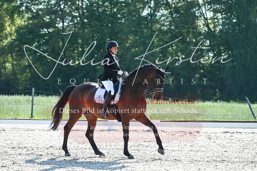20230513_JK-Röhrsdorf-10-0064 | Pferde- und Turnierfotografie in Westsachsen. Pferdeportraits, Auftragszeichnungen und intuitive Kunst.
