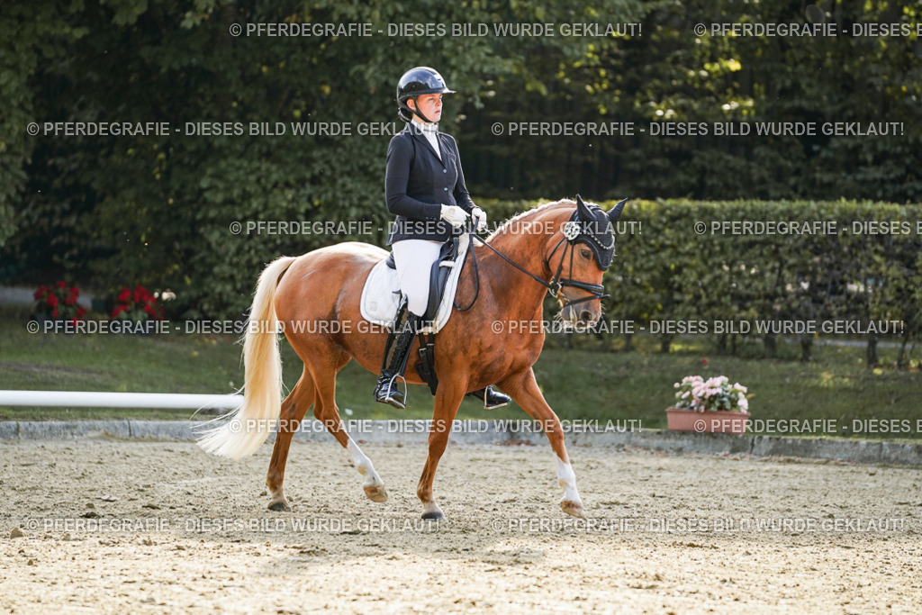 DSC05201 | Pferdegrafie