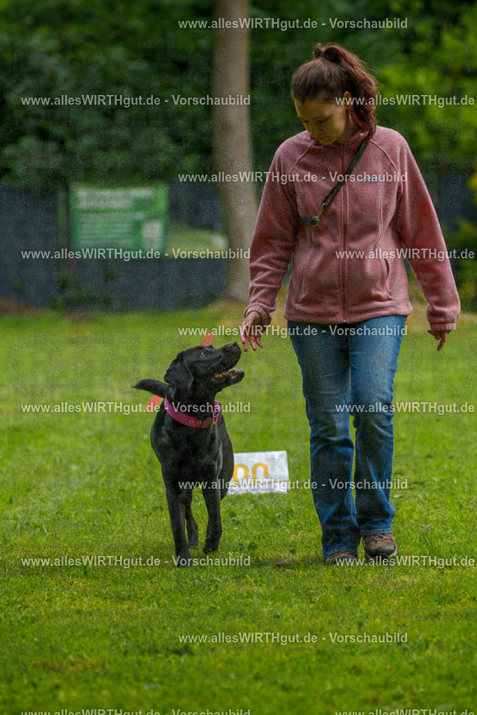 @allesWIRTHgut_Tierfotografie - www.allesWIRTHgut.de - 7R503218 | Professionelle Tierfotografie in Mönchengladbach von Daniel Wirth (allesWIRTHgut). Liebevolle & natürliche Bilder von Hunden & Katzen für unvergessliche Erinnerungen.