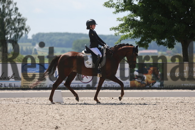 Rot am See_2024_Prfg.Nr.21_Qual.BCH_und_LCH_5-jähr.Ponys_Matilda Buchbach_Dundees Quadriga (3) | Alle Fotos der Reiterjournal Fotografin Doris Matthaes im Reiterjournal Online-Fotoshop. - Realisiert mit Pictrs.com