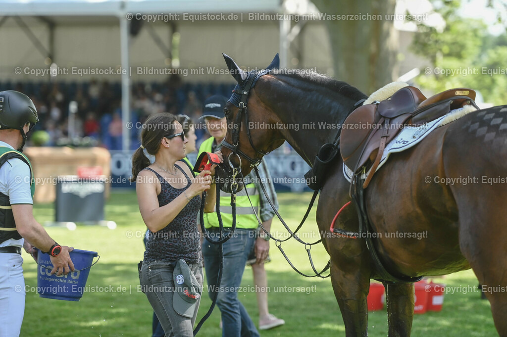 20230527_27_CCI4_Gelände_0487 | equistock