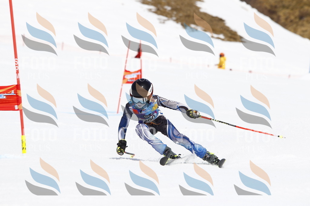 _U3G5884 | holidayphoto