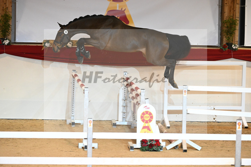 Kat-Nr. 32 Tangelo v d Zuuthoeve_Schlamminger GmbH_1231071 | hf-fotografie - Realizzato con Pictrs.com
