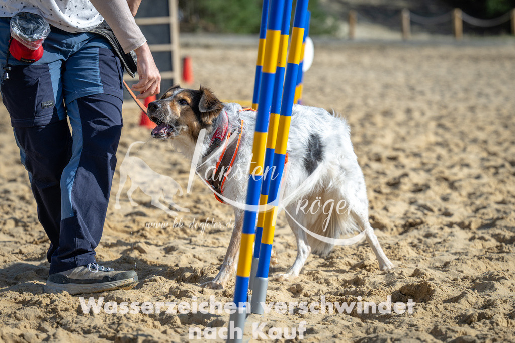 1505_ZZ92131 | kk-dogfotos