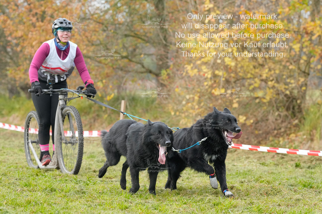 Visbeck_Sa_DS2DR2-148 | stephaniefillaphotographie - Realisiert mit Pictrs.com