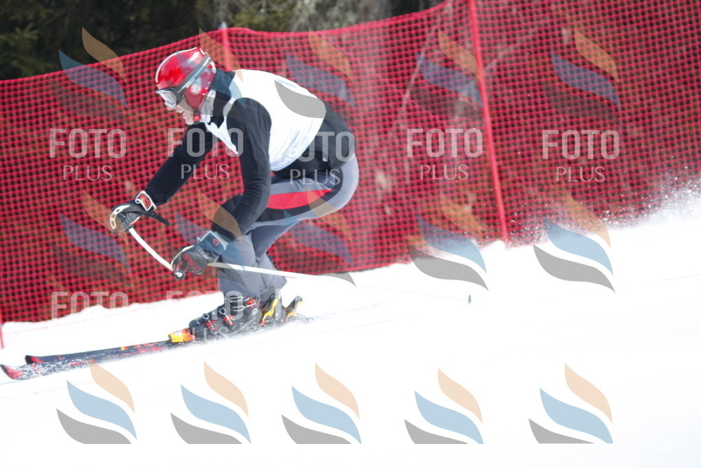 D6599 | holidayphoto