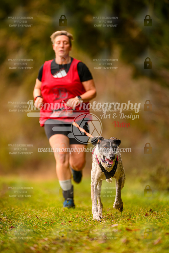 MompixPhotography_2SSTSSBW_2025_SO_Canicross-32 | PayLife
