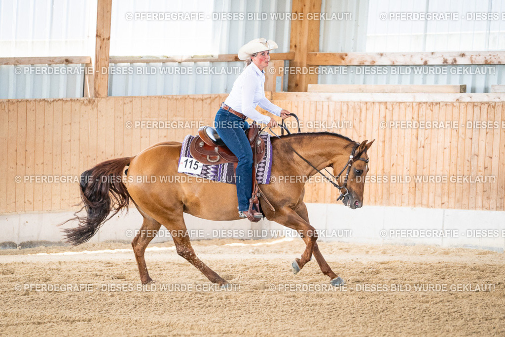 DSC02578 | Pferdegrafie