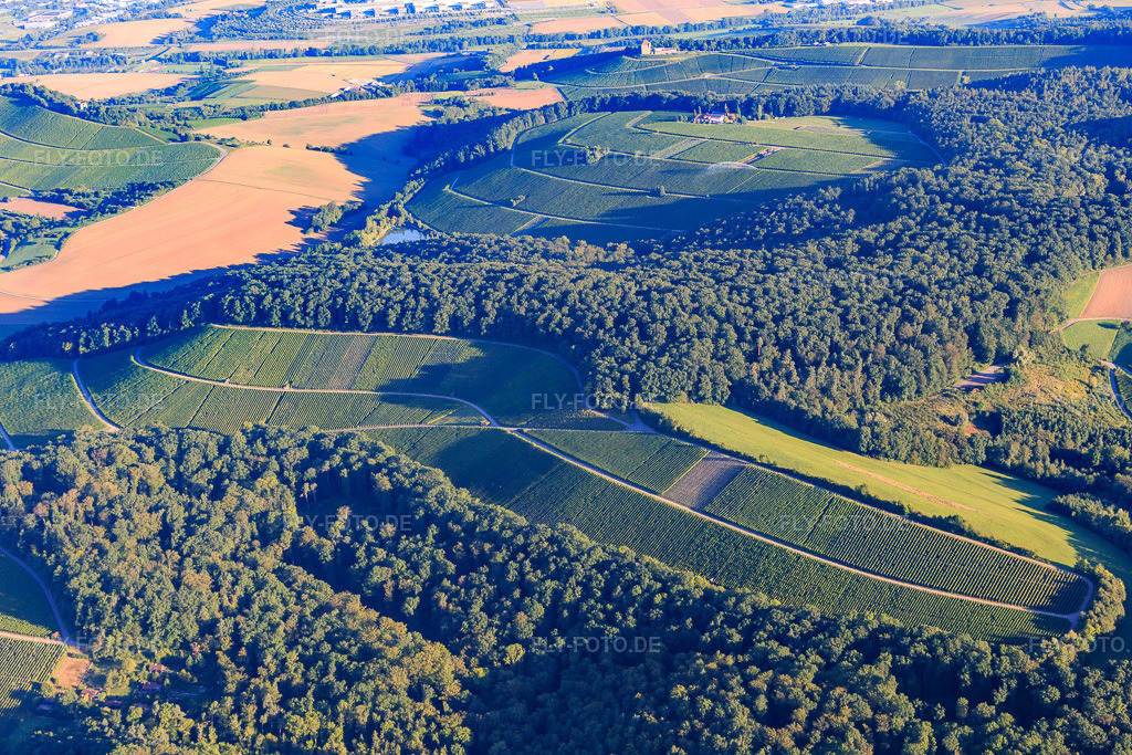 Luftbild: Weinberge und Wald im Ortsteil Schmidhausen in Beilstein im Bundesland Baden-Württemberg in Deutschland. Foto: IMG_093760.jpg vom 23.08.2016 durch Werner Riehm/FLY-FOTO.de