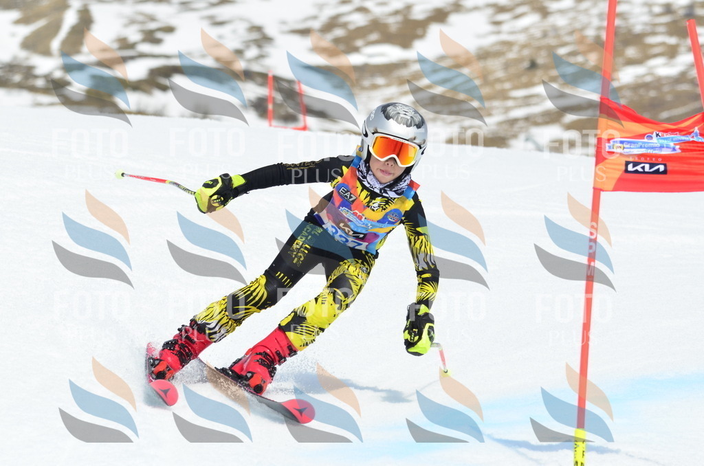 _ELE2499 | holidayphoto