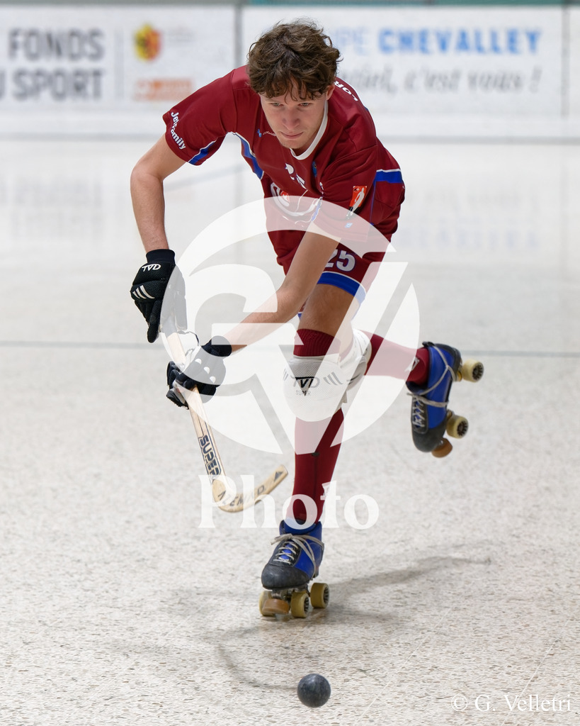 DSC_0135 | Velletri Photo