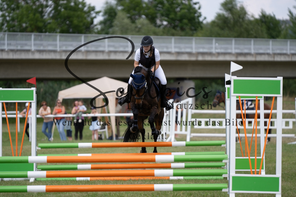 A7V00228 | Pferdefotograf