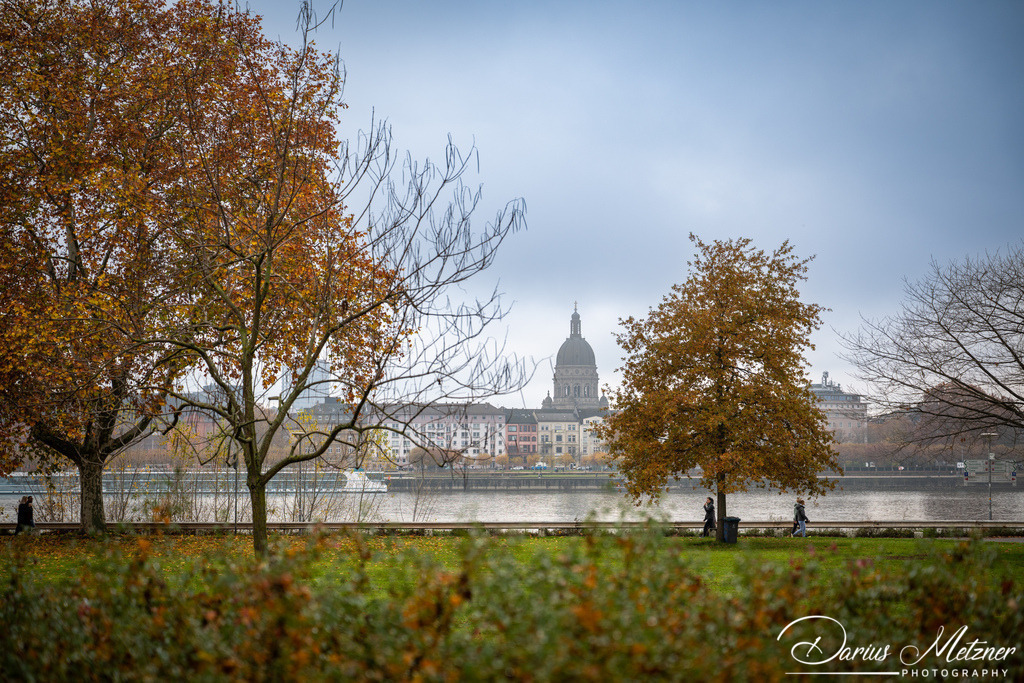 DSC_4363 | Fotografien, Fotos und Bilder aus Mainz, Frankfurt, Wiesbaden und anderen Orten auf der Welt - Fotografiert von Darius Metzner