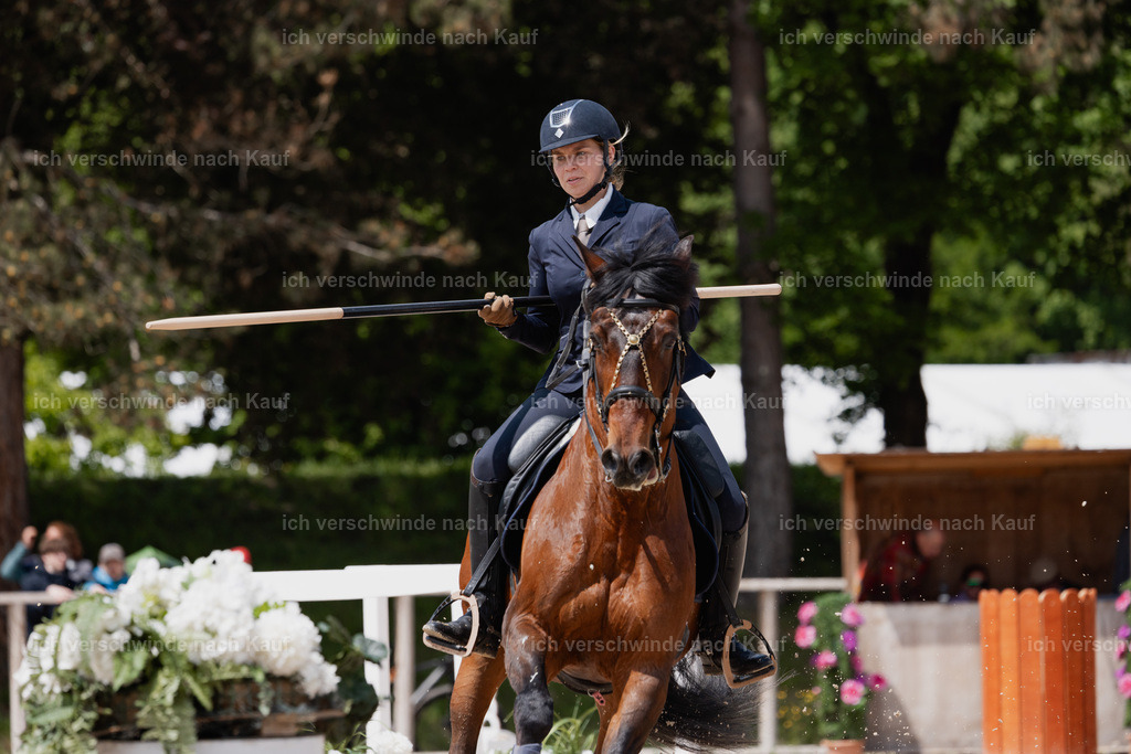 PI26_SP_StoibphotographyC2_C3287.CR3 | working equitationturnier fotograf videograf stoibphotography marixx film working equitation deutschland reitsport turnierfotografie eventfotografie equestrian events