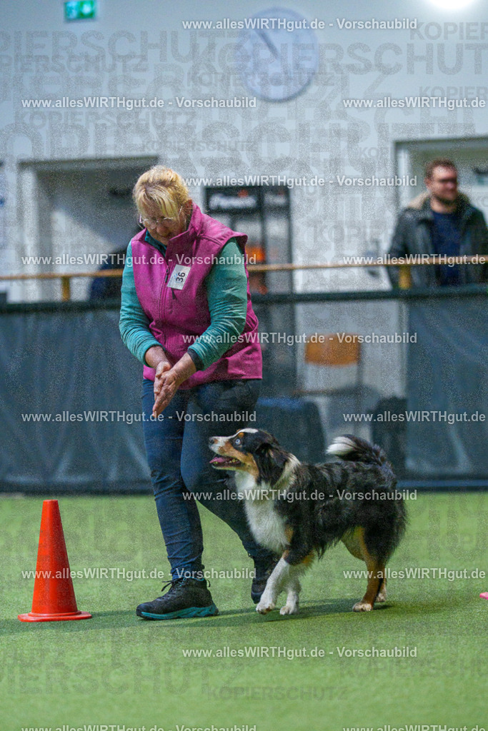 7R501084 | Professionelle Tierfotografie in Mönchengladbach von Daniel Wirth (allesWIRTHgut). Liebevolle & natürliche Bilder von Hunden & Katzen für unvergessliche Erinnerungen.