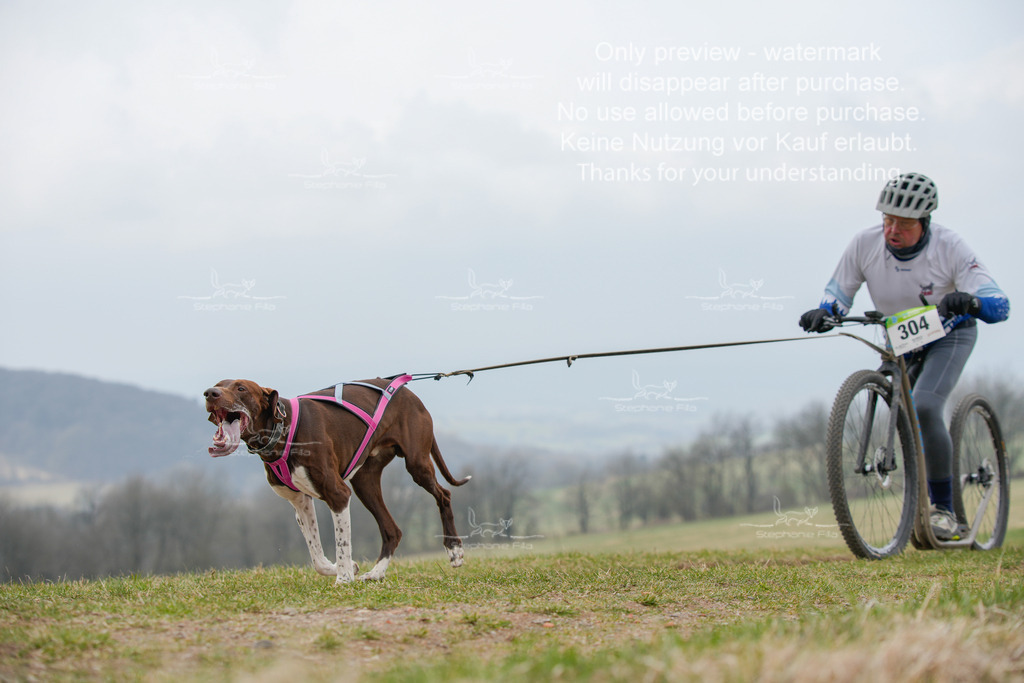 ScooterSA-27 | stephaniefillaphotographie - Realisiert mit Pictrs.com